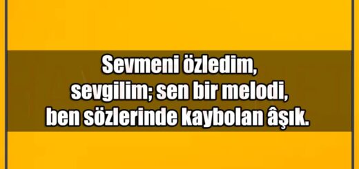 En Güzel Sevgini Özledim Mesajları