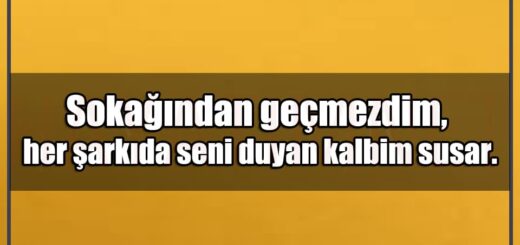 En Güzel Sokağından Geçmezdim Mesajları