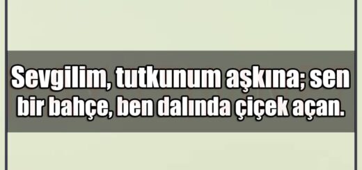 En Güzel Tutkunum Aşkına Mesajları