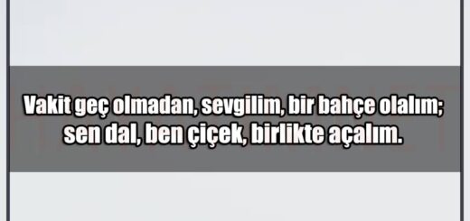 En Güzel Vakit Geç Olmadan Mesajları