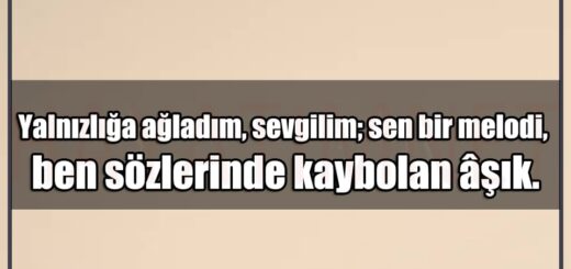 En Güzel Yalnızlığa Ağladım Mesajları