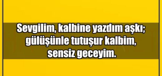En Güzle Kalbime Yazdım Aşkı Mesajları