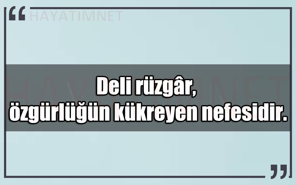 En Güzel Deli Rüzgar Mesajları