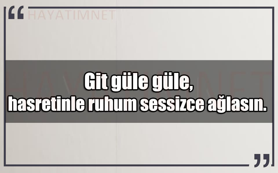 En Güzel Git Güle Güle Mesajları