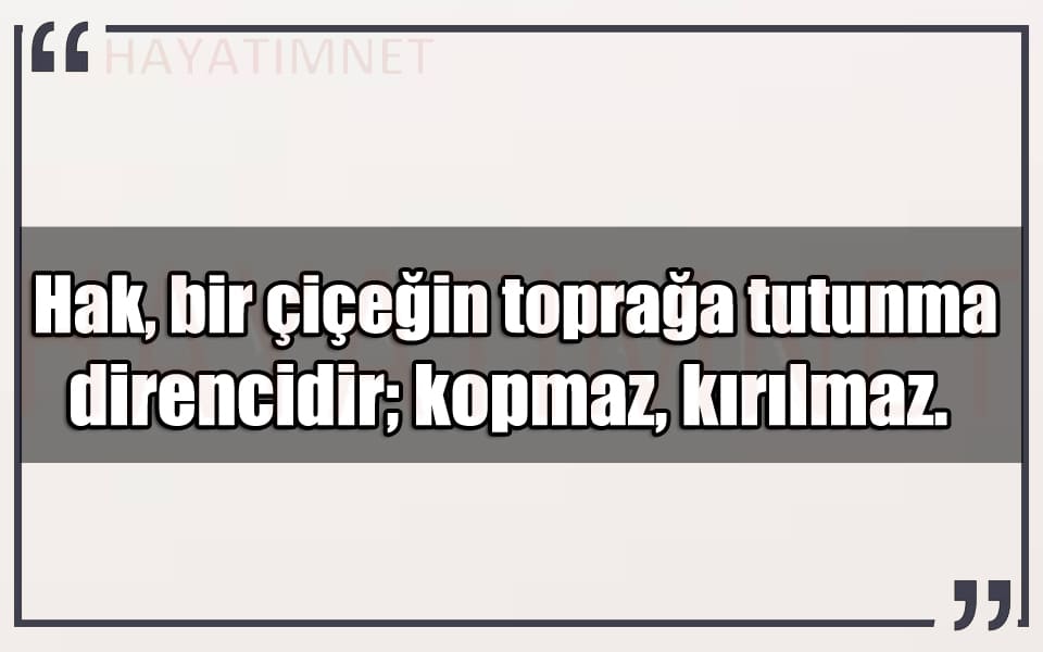 En Güzel Hak Hukuk Adalet Mesajları